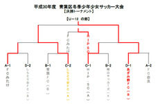 14-s-5.jpg