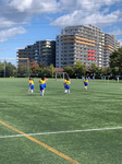 46-s-2.jpg